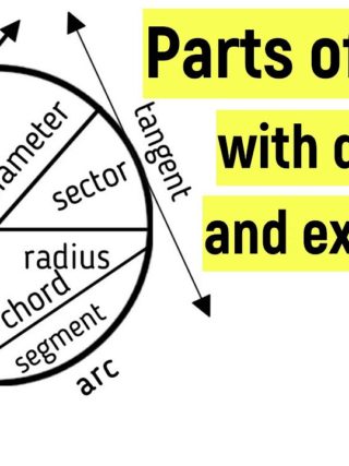 Explanation of Circle and Its Parts